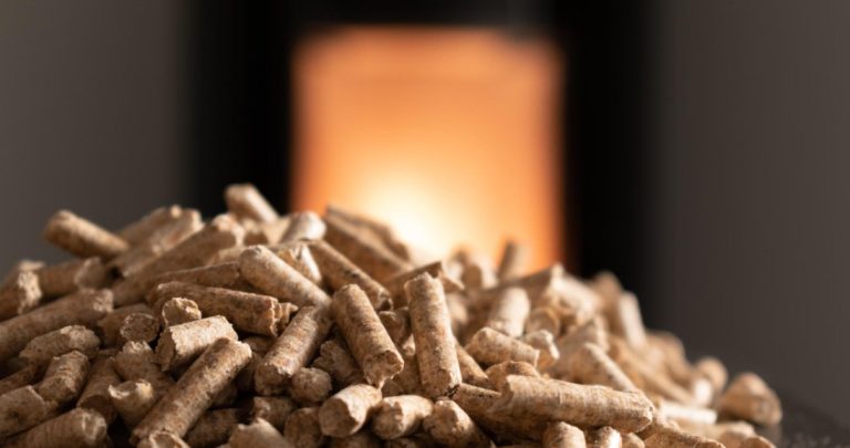pelletoefen-pflege-und-reinigung-leicht-gemacht